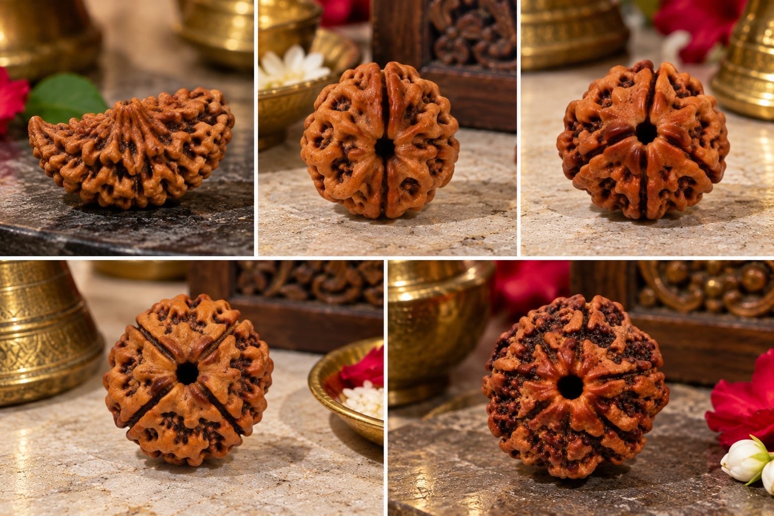 Rudraksha Premium Collection